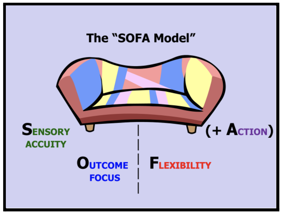 The SOFA Model